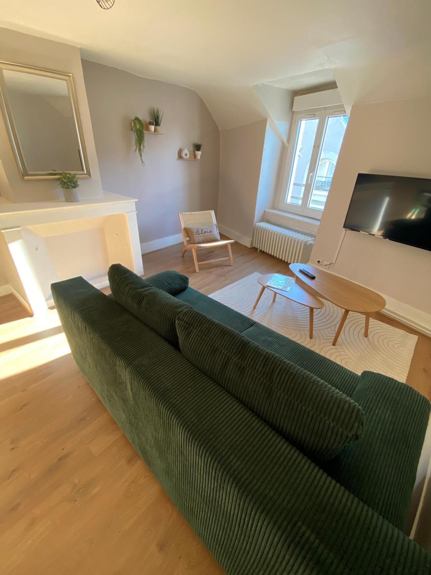 Au Coeur De Apartment